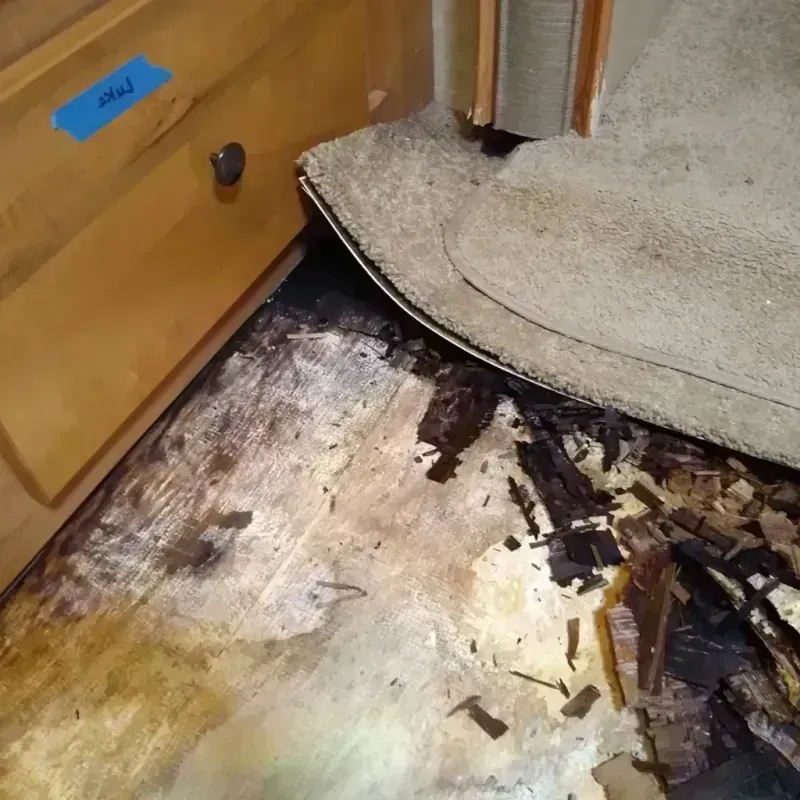 Wood Floor Water Damage in Lyndhurst, NJ